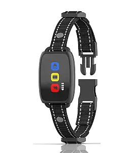 ElitePet 300Pro 3G Empfänger + Halsband