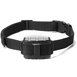 ElitePet 300Pro 2G Empfänger + Halsband