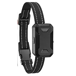 ElitePet Autotrain Empfänger + Halsband