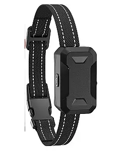 ElitePet Autotrain Empfänger + Halsband