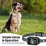 PetPlus F8 GPS Hundezaun