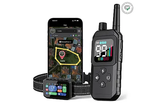 GPS Hundezäune: Die moderne Lösung