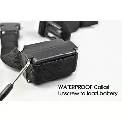 Hundezaun Empfänger + Halsband (wiederaufladbar)