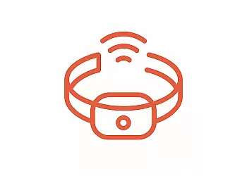 Ferntrainer Empfänger